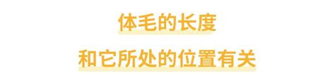 手背長毛|身上有一根毛特別長，是長壽象徵，還是癌變前兆？